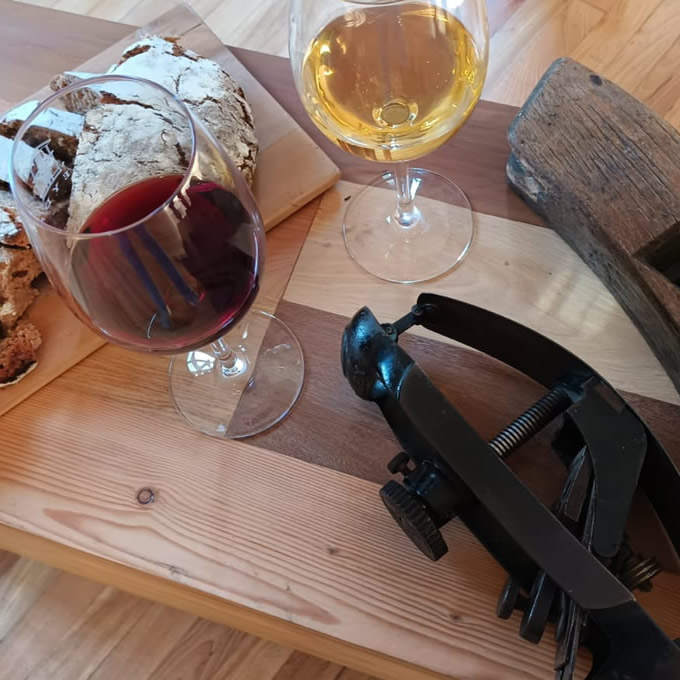 Cata grupal "La madera y el vino" Museo Taller